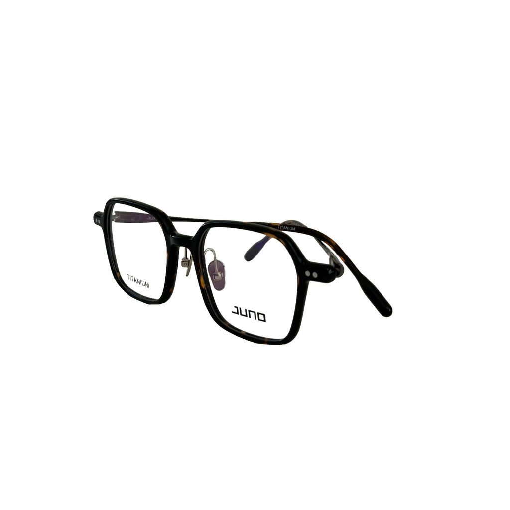 dot in tortoise