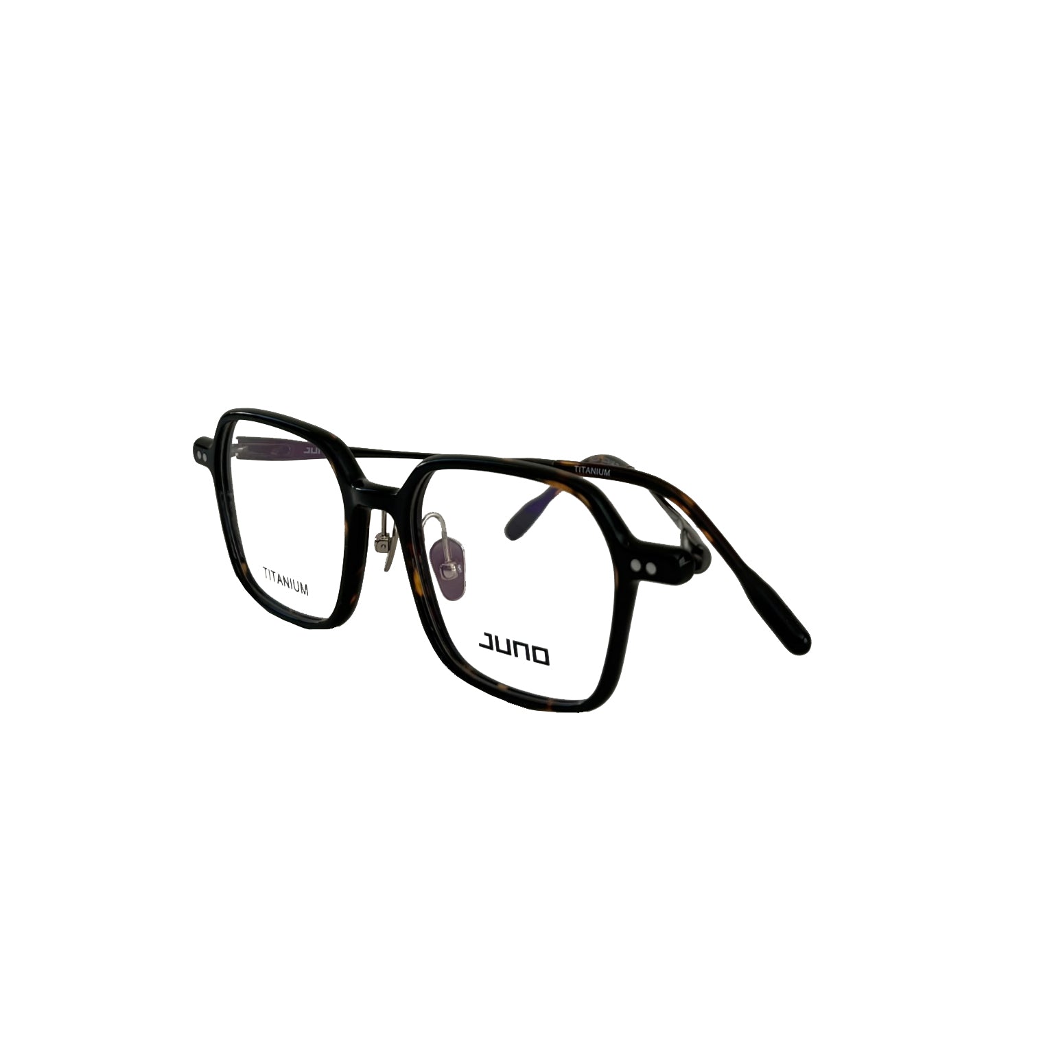 dot in tortoise