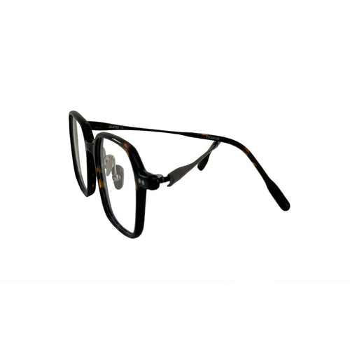 dot in tortoise